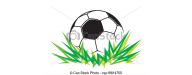 Barrens Soccer Club 2022 Season